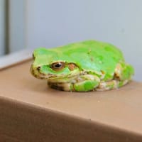 【土足はご遠慮下さい】。。。