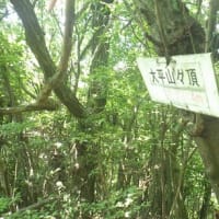 柳井市 大平山尾根をのんびり縦走(1/2)