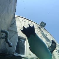北海道６　北見から旭川