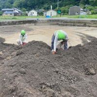 地道な根っこ拾いにアヤカ感激！