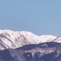 2022/01/31