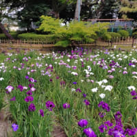 何とか６月の振り返りを頑張ります