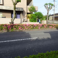 朝の運動＆散歩（2025/5/8）・・・姶良市加治木町塩入海岸方面
