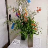篠窪（しのくぼ）の隣町 花芸安達流　北澤様の生け花「七夕を生ける」(2025/07/01)