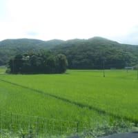 集落点検