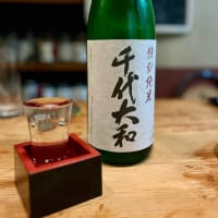 大聖歓喜天と盧舎那仏と千代大和と　近鉄難波線・奈良線を完乗！