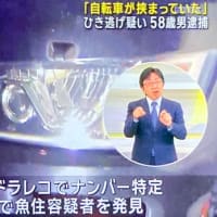 宮城で男が大型トレーラーでチャリを轢き逃げ