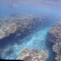 水納島が忘れなくて