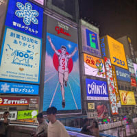 6月29日遅い夕食大阪市道頓堀・らぁ麺はやし田