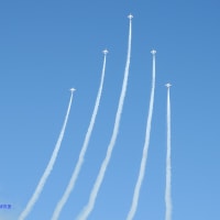 【G3X撮影速報】入間基地航空祭二〇二四(7)Ｄ計画！このままでは１１月１８日にgooブログは消えて無くなってしまう！(2024-11-03)