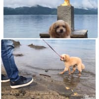 久しぶりの旅行♪