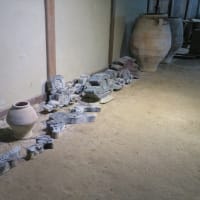加茂花菖蒲園のちまき(粽)とアジサイ