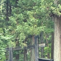 　お墓参りとおはぎ