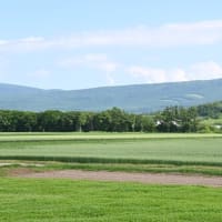 夏至を迎えたオホーツク🎥