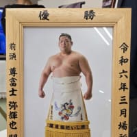 着物ショーを見てきました