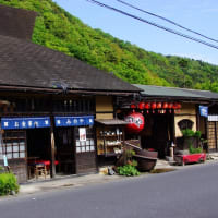 何時も見て頂き有難う御座います