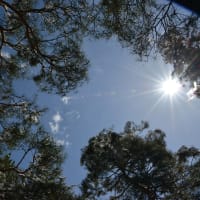 明日の空へ向かって
