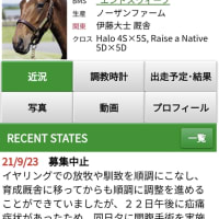 エンシェントヒルの20募集中止