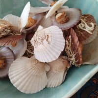 週末を苦々しく酒を呑み過ごす