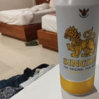 【タイ】グリーンラッシュに沸く？タイから帰国【八日目(最終日)】