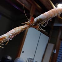 新そば会