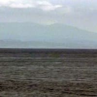 海鳥のサンクチュアリ　天売島と森林浴を楽しむメルヘンの焼尻島　６８回目　焼尻島