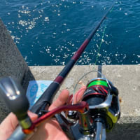 【浜田 オバセ波止】暇つぶし釣行