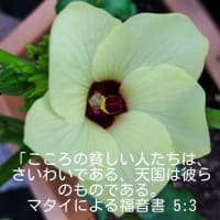韓国の信仰の友より2025年6月16日・17日・18日・20日・いつも有難うございます。