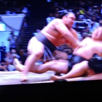 5/17 春ちゃん　霧島　このひざ、前にもあった