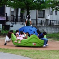 今日は、空を見上げれば、曇り空で、ぽつりぽつりと、雨粒が落ちてきて、遠出の出来る状態で無かったので、近くの公園2カ所をcameraぶら下げて、足を引き摺りながらcameraあそびをしてきました。