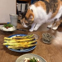 明日の為に