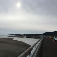 (2018.12.9)宮崎 青太マラソン 10km 58'36