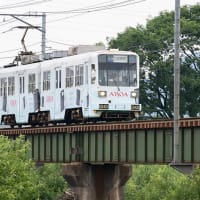 何気に16年ぶりの再会です（苦笑） 福井鉄道880形 #9