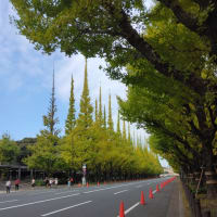 お散歩