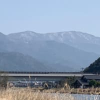 春本番へ