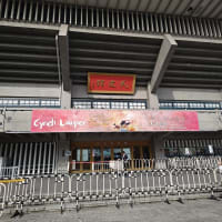 シンディ・ローパー武道館 フェアウェルツアーへ行ってきました