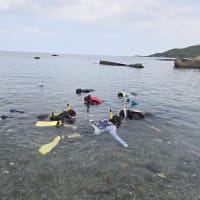 ぼー研部2025'vol.10＊ シュノーケリング