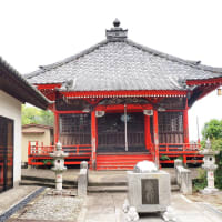 天州寺のアジサイ