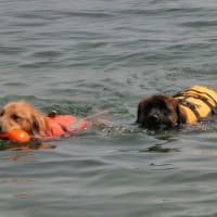 ちょっと涼しげな水遊び（琵琶湖にて）