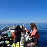 GWは海へGO～！！