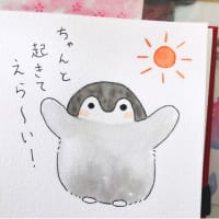 コウペンちゃん(book)