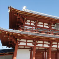 奈良での精神国賠学習会を限定配信