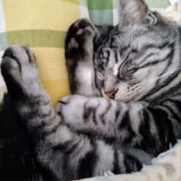 １人正月あけました～笑