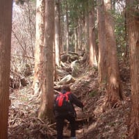 福島の空、白河郊外にある関山に登って来ました。再投稿です！