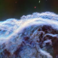 ウェッブが象徴的な馬頭星雲の頂上をこれまでにない詳細で撮影