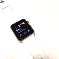 Apple Watch。