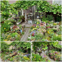 除草剤に思う