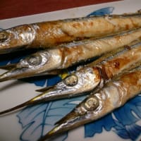 大好物のサヨリの塩焼き 営業中に よりみち しちゃいました