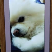 少しずつ、ゆっくりと