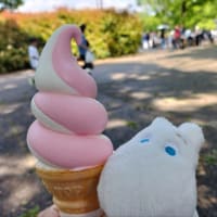 5月の思い出①